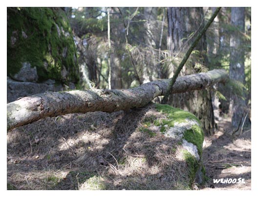 6623stockosten