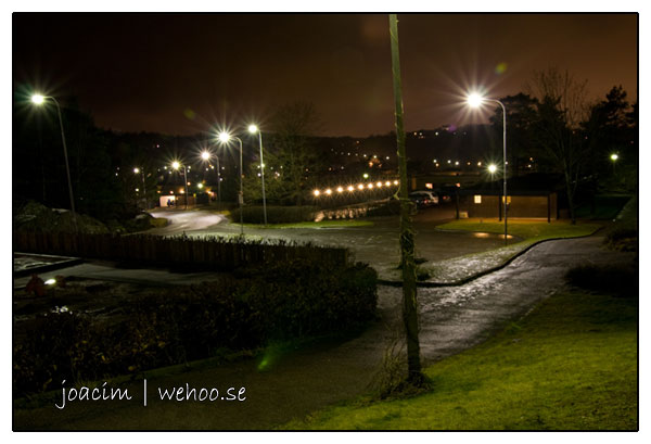 nattfoto7781
