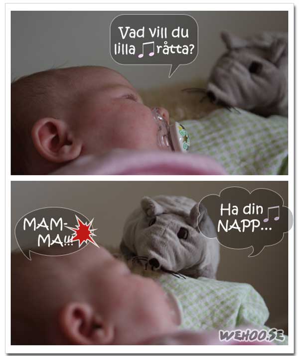 ratta-napp ratta-napp