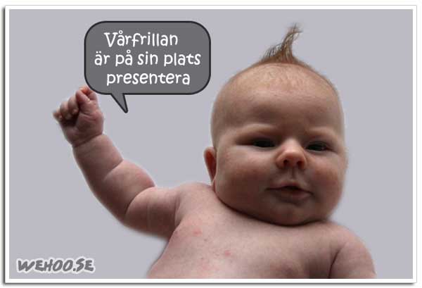 varfrilla_8376