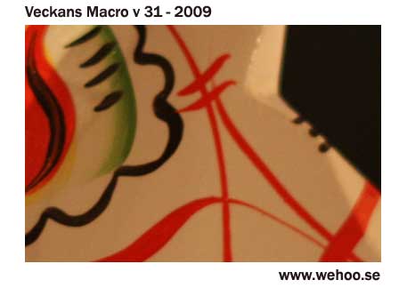 macro-v31-2009