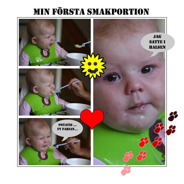 vida-smakportion