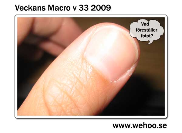 macro-v33-2009-facit