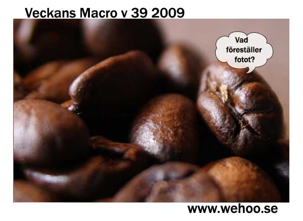 macro-v39-2009