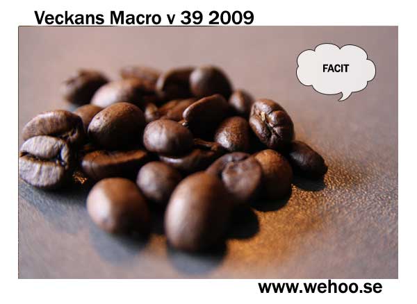 macro-v39-2009-facit