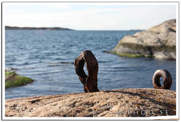 rosthav_IMG_1309