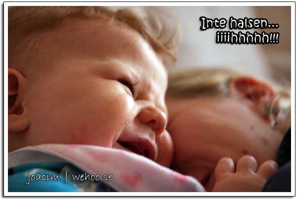 vida-ihhh_1571