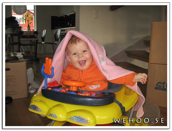 vidaspokarIMG_5048