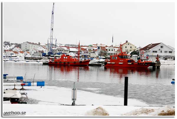 sjoflyget_3349